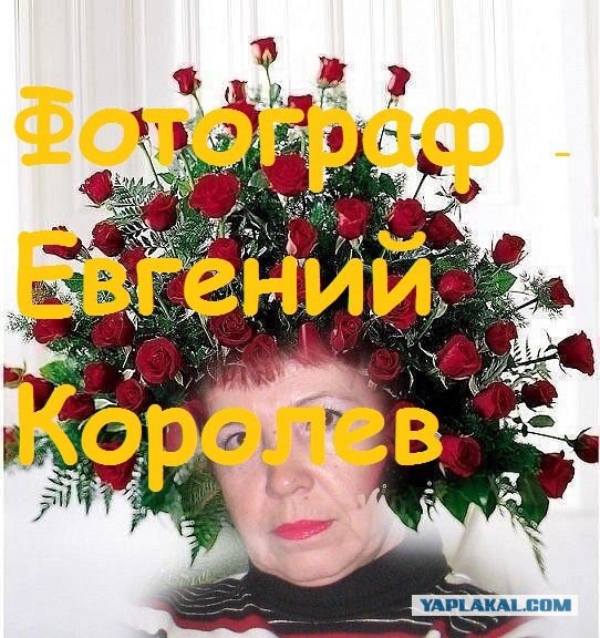 На Профсоюзной улице в Москве таксист насмерть сбил курьера на моноколесе