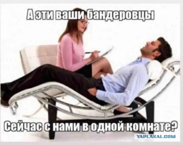 Фронтовые котейки просят о помощи