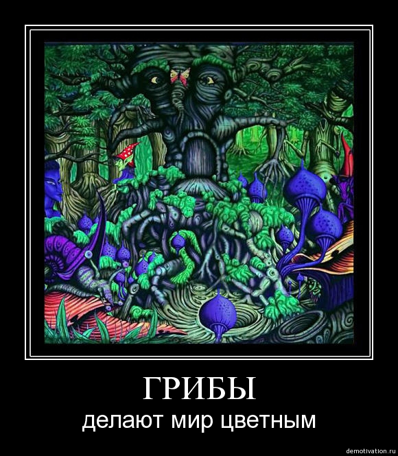 Прикольные и просто красивые картинки 16.12.2022
