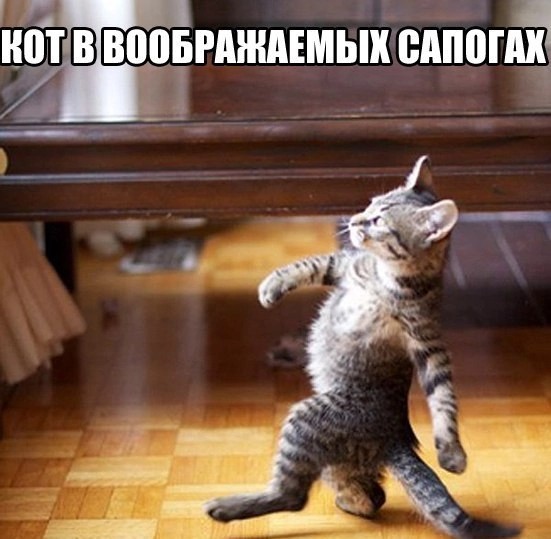 Народная меДИЧина 3005