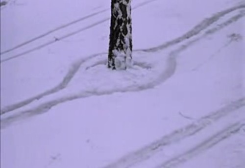 Не смог