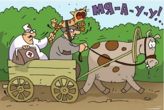 Картинки с юбилея
