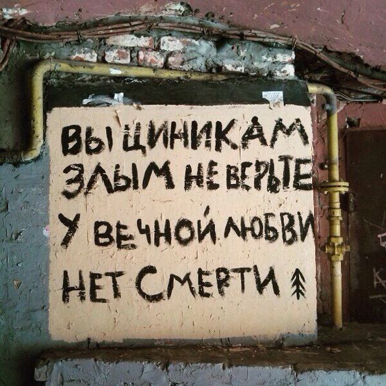 Прикольные и просто красивые картинки 16.08.2024