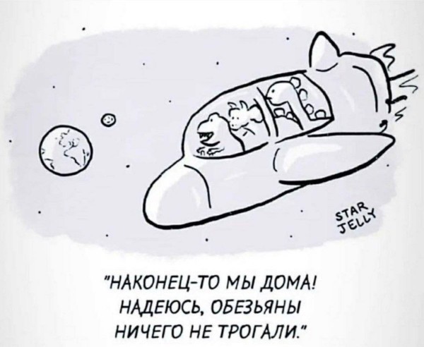 Немного забавных картинок от 13.10.2024
