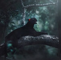 Буся - Поиск Пути