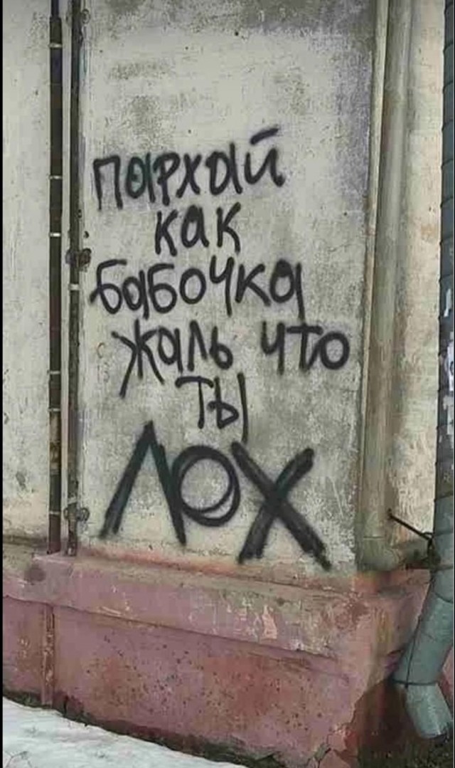 Индуистский священник, утверждавший, что может летать, разбился при падении с вершины