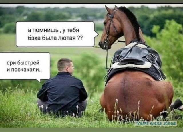 На АвтоВАЗе вновь приступили к сборке карбюраторных двигателей