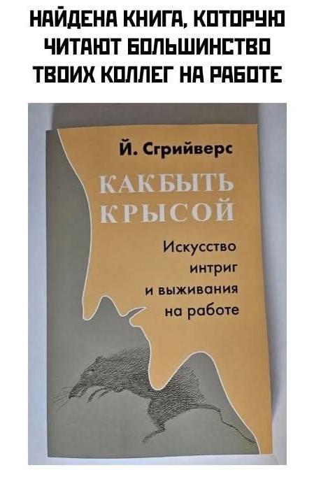 Маленькая пятница 22.01.25