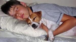 Породы собак для семьи