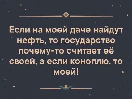 Фермер откопал на своем участке 150 тонн золотых самородков