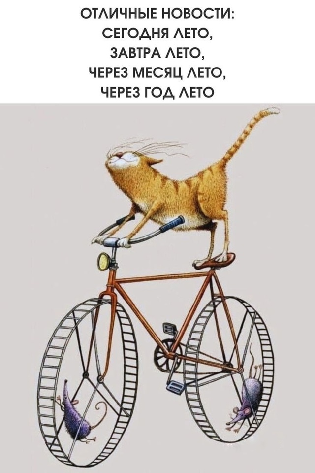 Так себе картинки 10.06.25