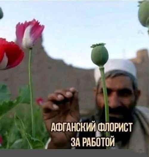 Маленькая пятница 25.06
