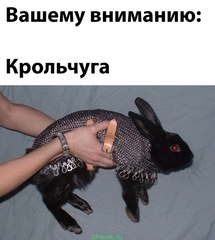 Игра слов — это словесный вираж в смешных каламбурах