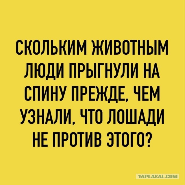 Так себе картинки 07.08.25