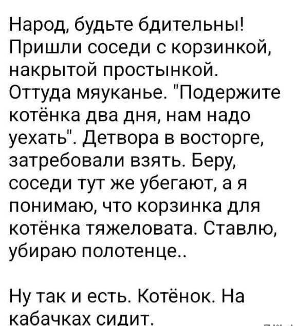 Так себе картинки 16.08.25