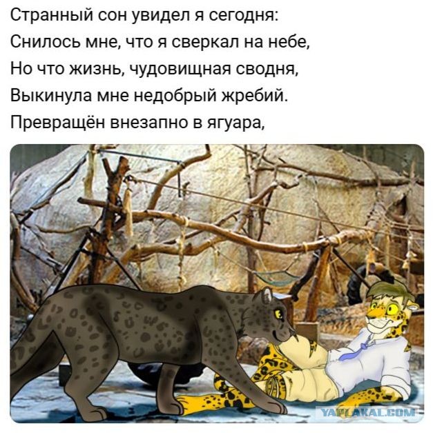 "Знаете, шикарно умер" - 26 августа был расстрелян Николай Гумилёв