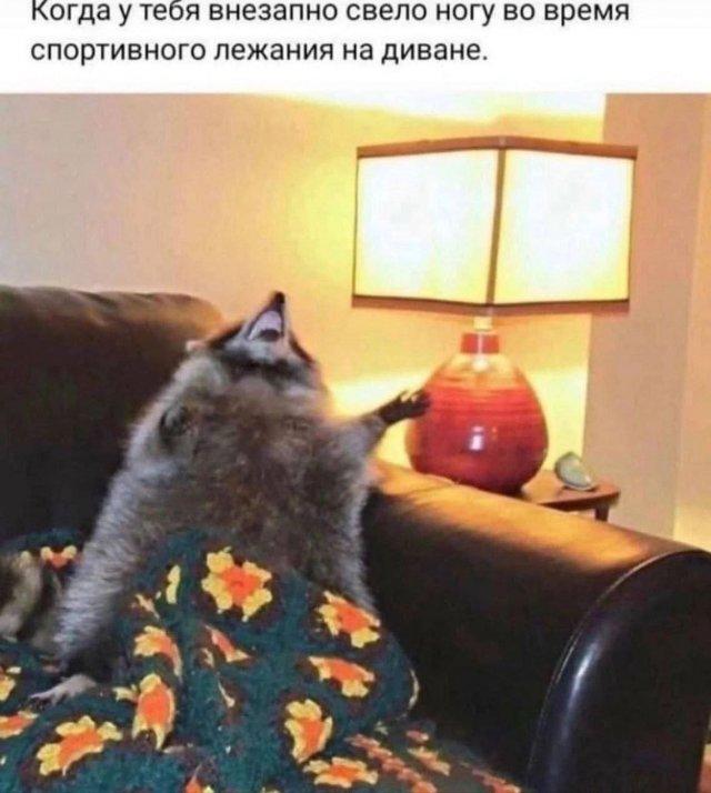 Картинки для деградации 77 (разной степени свежести)