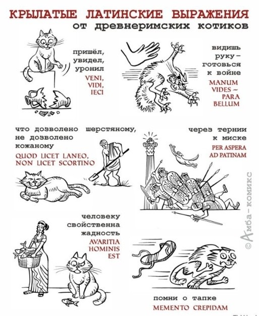 К котовторнику: подборка картинок-баянов с котиками и про котиков. Выпуск 40.