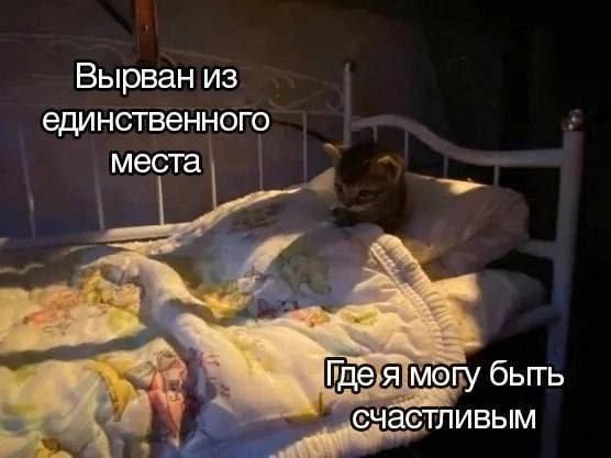 Психомемы-13