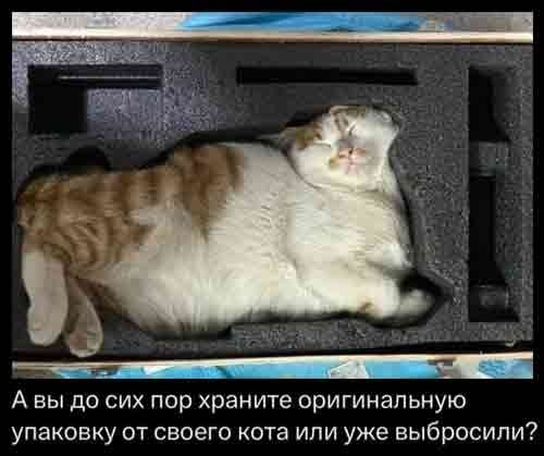 Веселые картинки в пятницу (16.10)