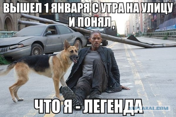 Зомби возвращается домой...