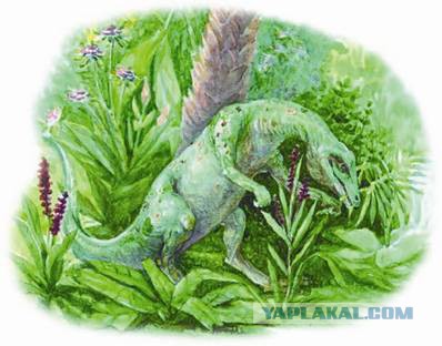 Марианская впадина