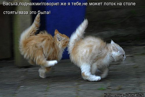 Веселые картинки.