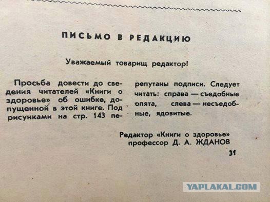 Топ-10 грибов