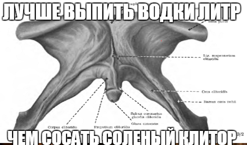 Где находится куннилингус?