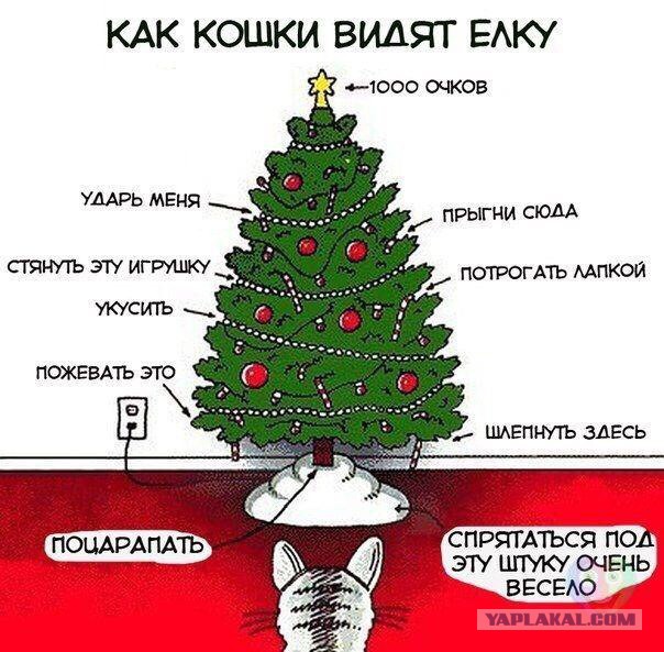 Весёлое из сети