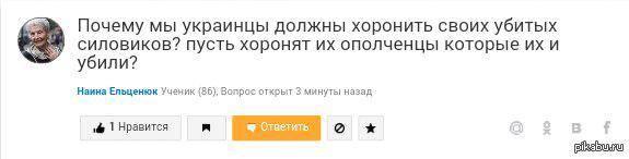 Перемирие кончилось, едва начавшись.