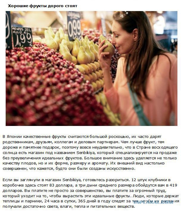 20 фактов обо всем