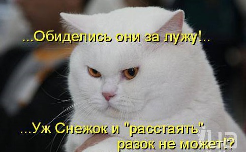 Обидели котейку? Получите, распишитесь!