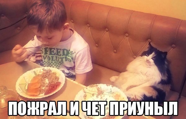 Веселости