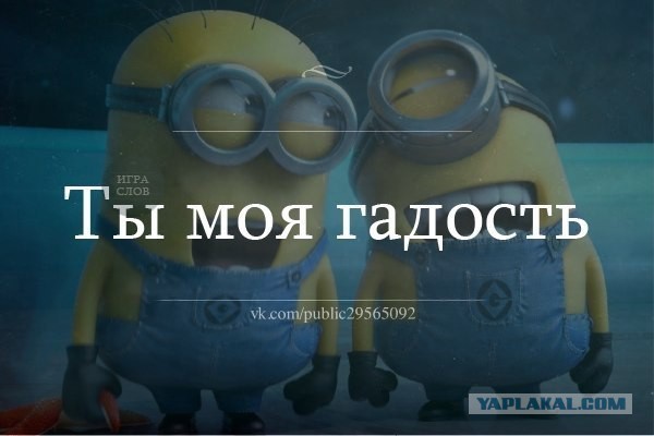 Просто картинки