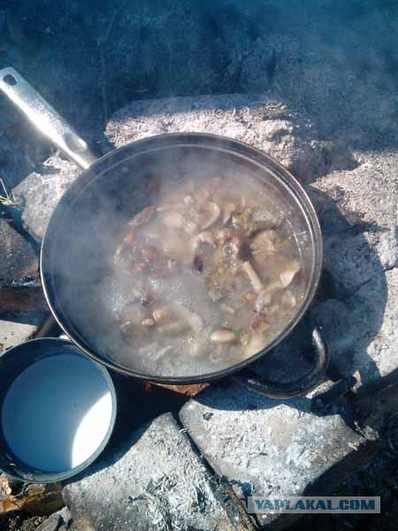 Кулинарный туризм.