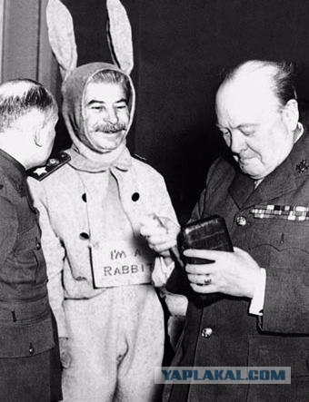 А-я-я-я-я-яй! Какой кошмар!