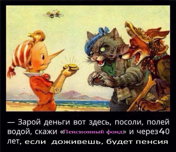 Полжизни коту под хвост