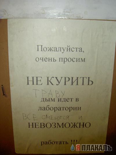 ВЫВЕСКИ, ТАБЛИЧКИ. Смешные и прикольные