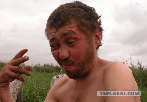 Отношение к алкоголю
