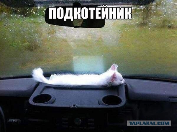 Фотоподборка на пятницу.