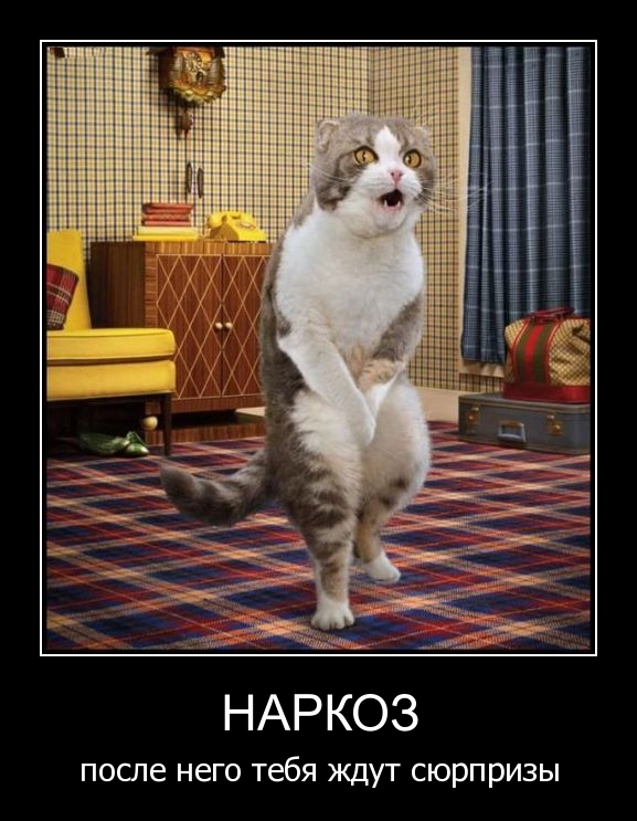 Короче, ты не просто спал...это был наркоз...И мы отрезали тебе шары...