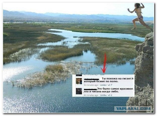 Картинки для поднятия настроения - 4