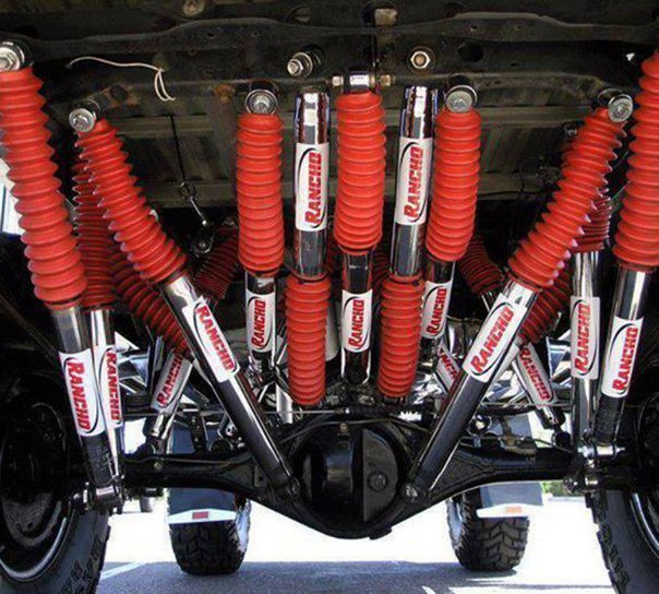 Подборка интересных и веселых фото