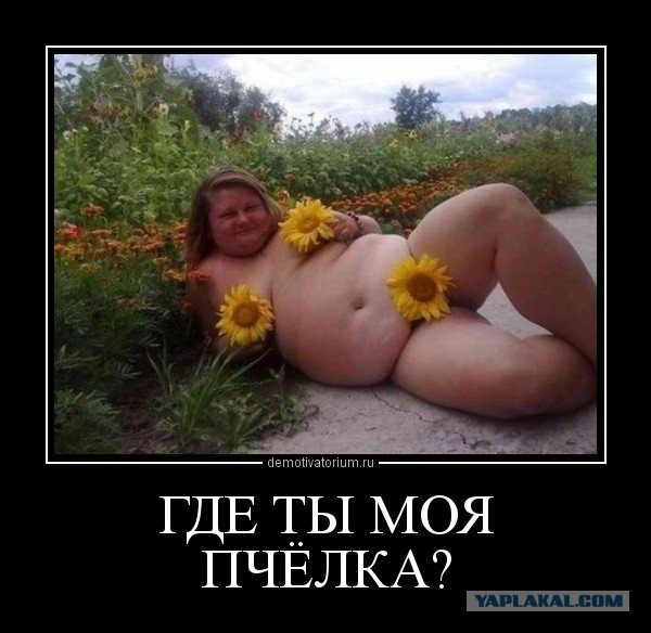 Летние девушки во всей красе