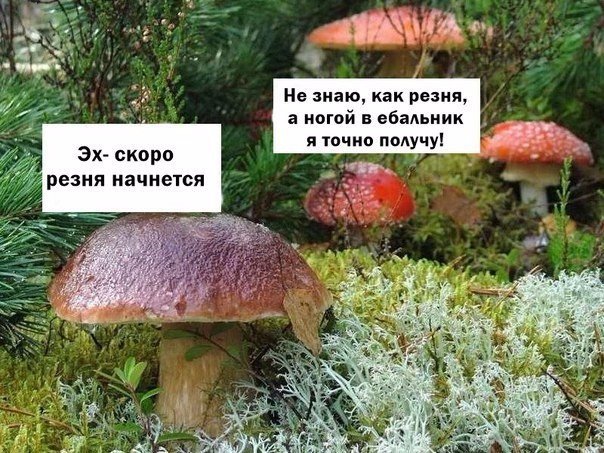 Подборка интересных и смешных картинок