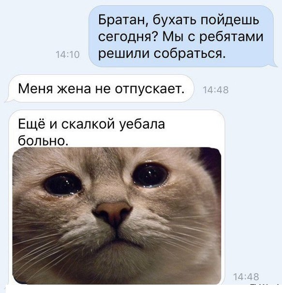 Смешные комменты из соцсетей и другие приколы.