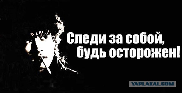 Трамвай в Москве сбил женщину, засмотревшуюся в телефон.