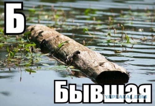 Трах-тибидох с бензопилой