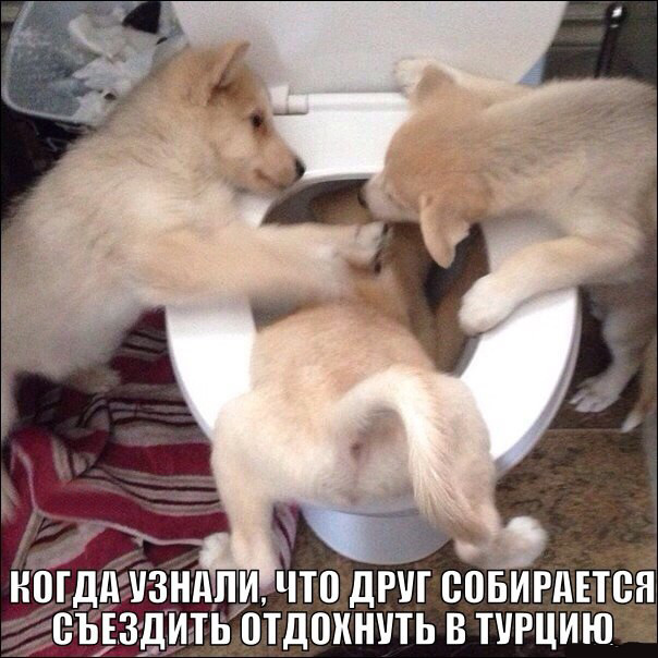 В преддверии упоротой пятницы